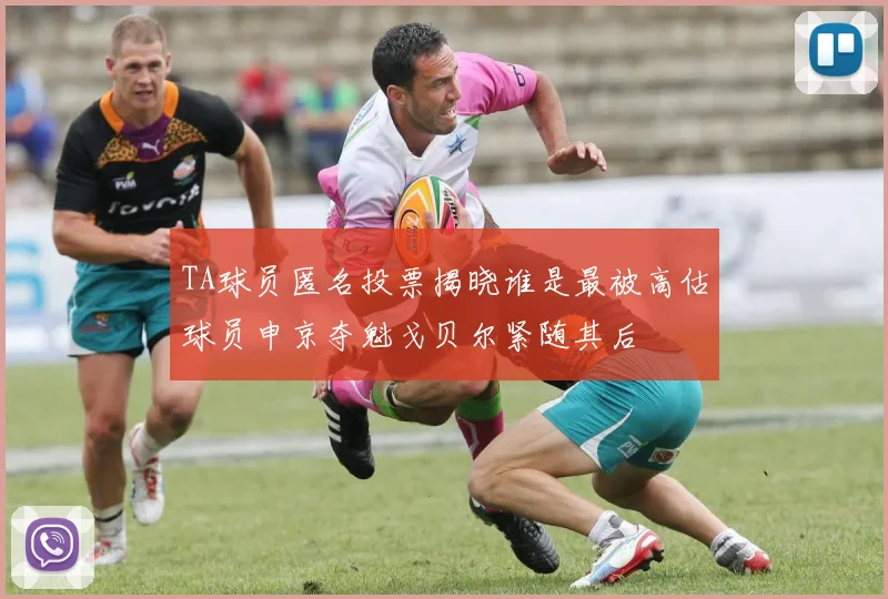 TA球员匿名投票揭晓谁是最被高估球员申京夺魁戈贝尔紧随其后